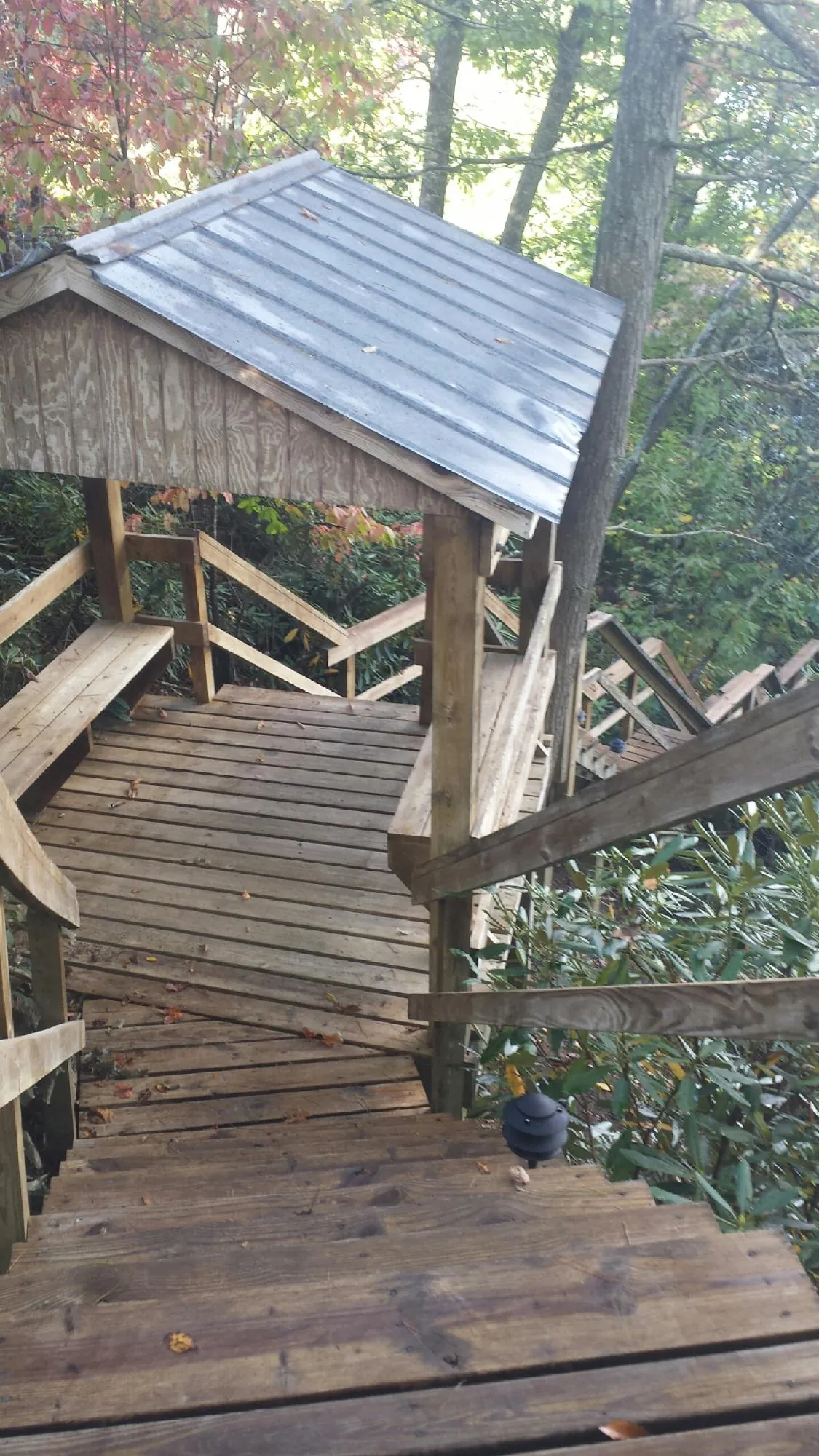 Metal roofed shelter over wooden steps on a wooded walkway — Skylight Repair & Installation work by our crew in Wilber